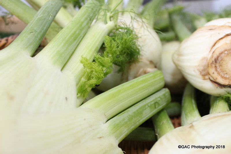 Vegetables, photo by Grant Charsley, LifeReignite, Health, Four Pillars, 4 Pillars